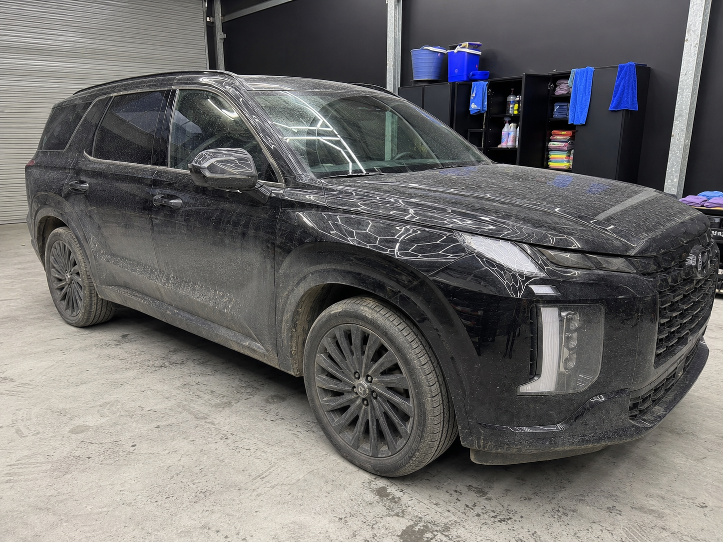 Hyundai Palisade before and after ceramic coating and paint correction, before