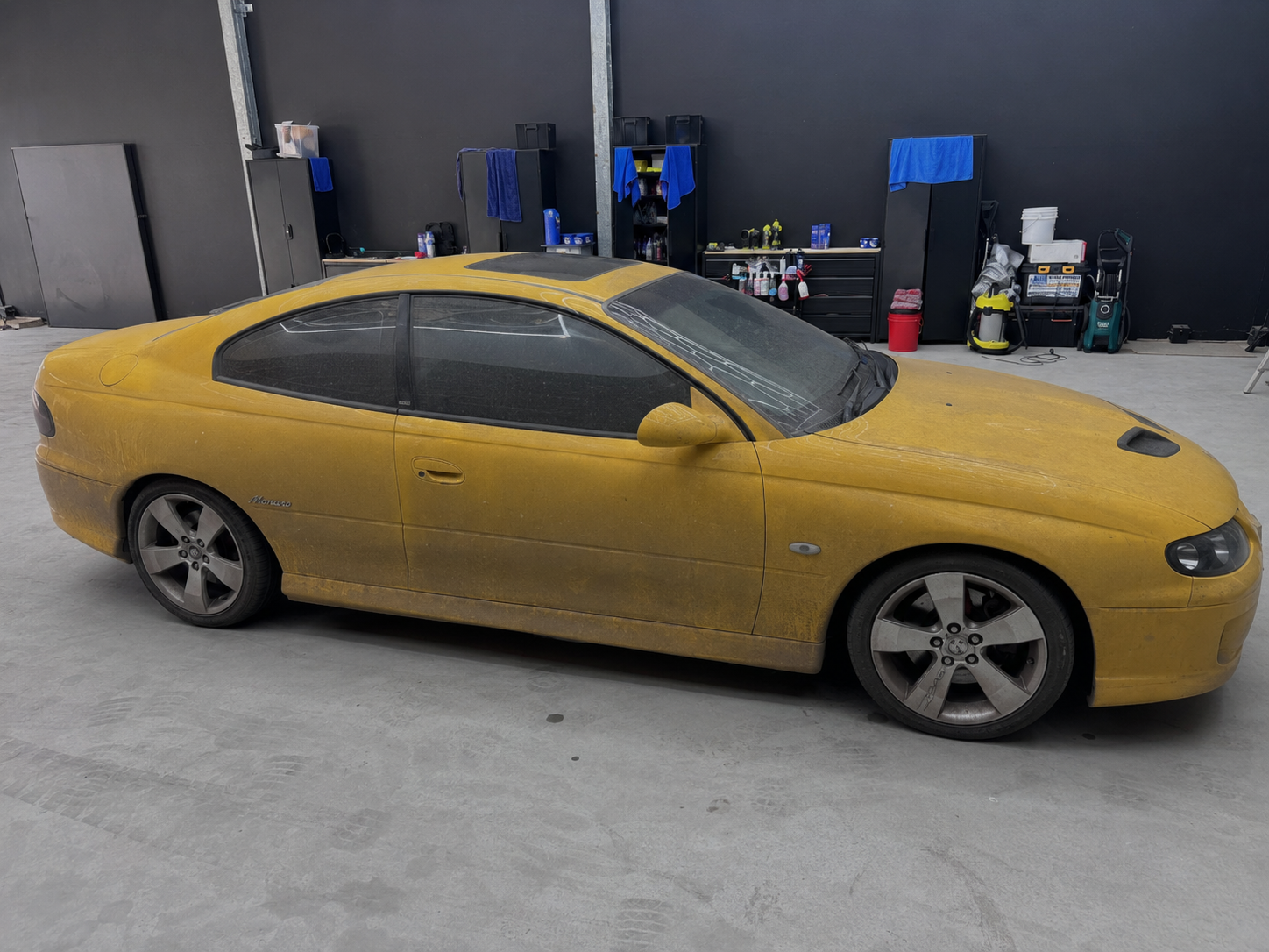 Holden Monaro before and after ceramic coating gloss restoration, before